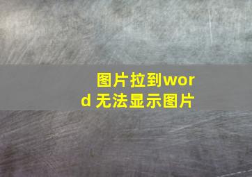 图片拉到word 无法显示图片